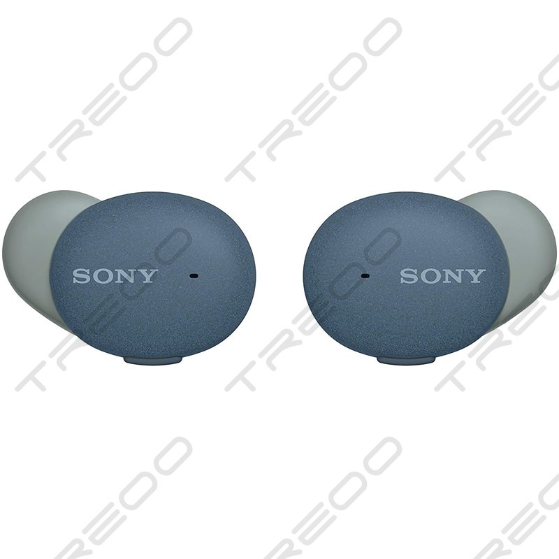 Sony WF-H800