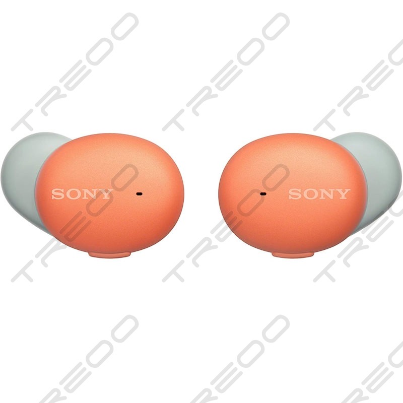 Sony WF-H800